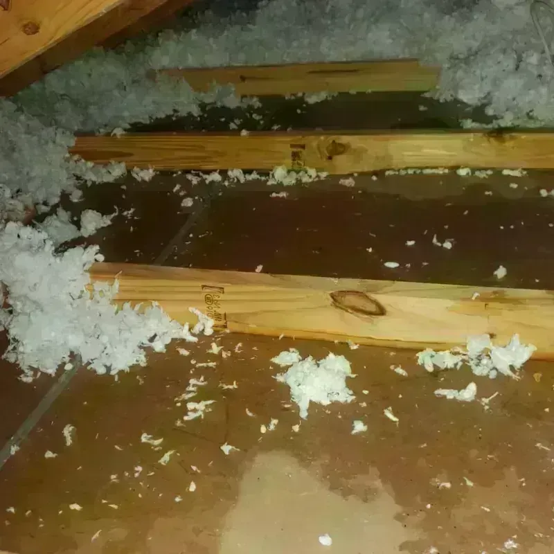 Attic Water Damage in Sandston, VA